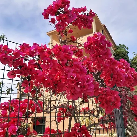 Garden With Incredible Views In Casa Banderas Apartment *
